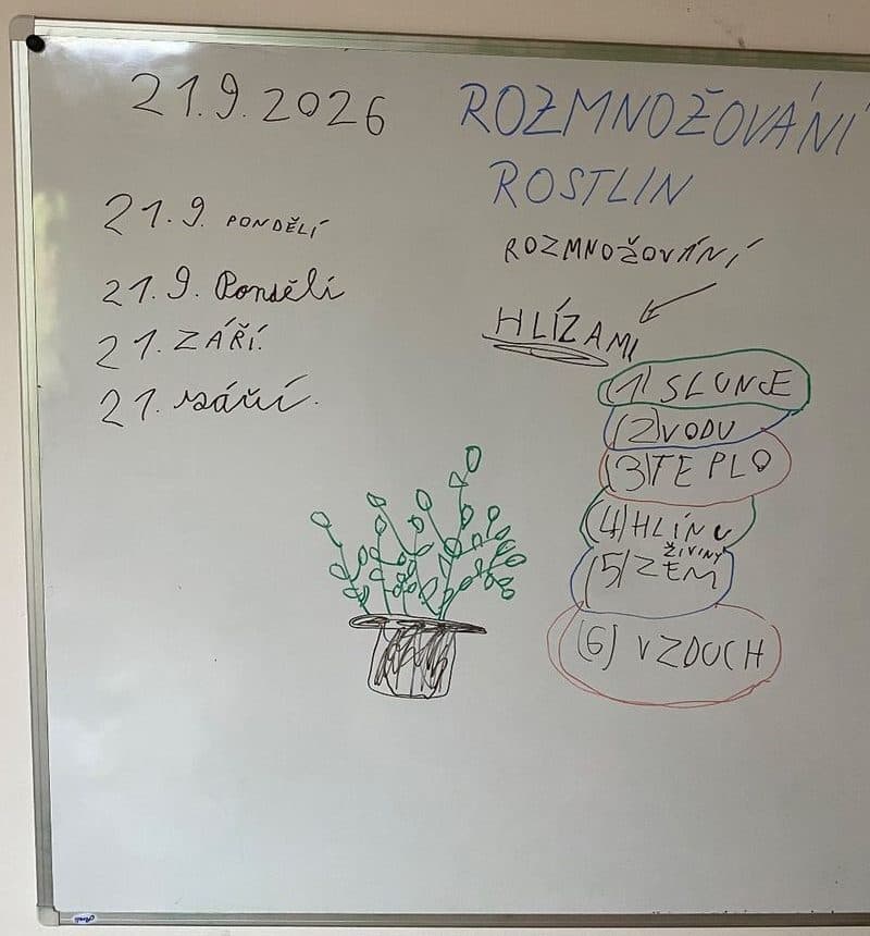Tabule: rozmnožování rostlin hlízami a co rostlina potřebuje